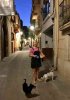 Carol with Thor and Maddie, enjoying an evening stroll around the old streets of Cambrils in Spain, on their way back to Málaga from the UK.